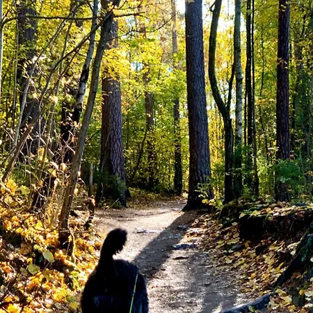 Kristiania וילה אוסלו